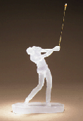 28147Thegolfer
