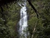 munsoncreekfallsoregoncoast.jpg